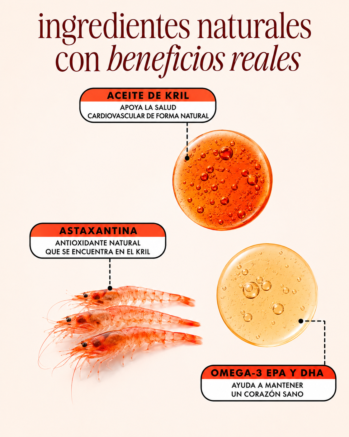 MEGARED OMEGA-3 Fish & Krill Oil
